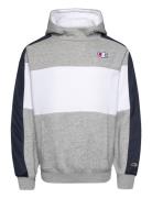 Hooded Sweatshirt Tops Sweat-shirts & Hoodies Hoodies Grey Champion