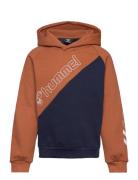 Hmlaxel Hoodie Tops Sweat-shirts & Hoodies Hoodies Brown Hummel