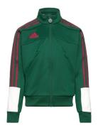 J Np Ttop Sport Sweat-shirts & Hoodies Sweat-shirts Green Adidas Sport...