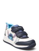 B Rishon Boy Lave Sneakers Navy GEOX