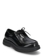 Reice Lace Up Støvletter Med Snøring Black Steve Madden