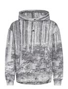 Oak Hoodie Tops Sweat-shirts & Hoodies Hoodies Grey Moose Knuckles