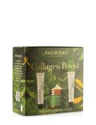 Collagen Boost Skincare Set Hudpleiesett Nude Antipodes