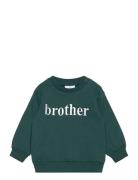 Tnsmax Sweatshirt Tops Sweat-shirts & Hoodies Sweat-shirts Green The N...