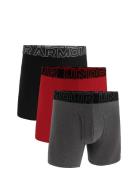 Ua Performance Cotton - Solid 6 In 3Pk Boksershorts Multi/patterned Un...