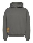 Lord Hoody Tops Sweat-shirts & Hoodies Hoodies Grey Pas De Mer