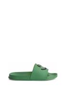 Zhappy Shoes Summer Shoes Sandals Green Molo