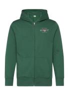 Graphic Fullzip Hoodie Tops Sweat-shirts & Hoodies Hoodies Green GANT