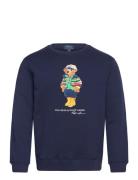 Polo Bear Fleece Sweatshirt Tops Sweat-shirts & Hoodies Sweat-shirts N...