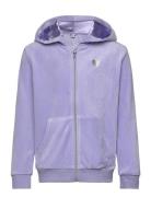 Hoodjacket Velour Solid Tops Sweat-shirts & Hoodies Hoodies Purple Lin...