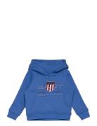 Archive Shield Raglan Hoodie Tops Sweat-shirts & Hoodies Hoodies Blue ...