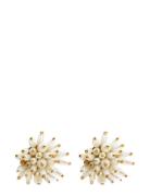 Steph Festive Ear Pearl Accessories Jewellery Earrings Studs White Pip...