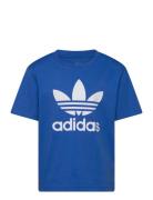 Trefoil Tee Tops T-shirts Short-sleeved Blue Adidas Originals