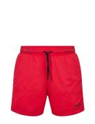 Haiti Badeshorts Pink HUGO