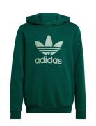 Trefoil Hoodie Tops Sweat-shirts & Hoodies Hoodies Green Adidas Origin...