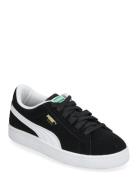 Suede Classic Ps Lave Sneakers Black PUMA