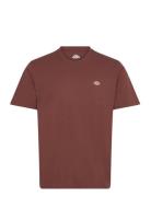 Ss Mapleton Tee Designers T-shirts Short-sleeved Brown Dickies