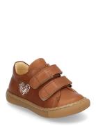 Shoes - Flat - With Velcro Lave Sneakers Brown ANGULUS