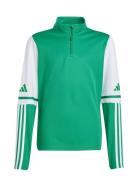 Sq25 Tr Top Y Sport Sweat-shirts & Hoodies Sweat-shirts Green Adidas P...