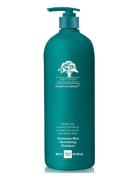 Rosemary Mint Revitalizing Shampoo Sjampo Nude Arganmidas