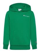 Hooded Sweatshirt Tops Sweat-shirts & Hoodies Hoodies Green Champion