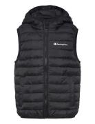 Hooded Vest Fôret Vest Black Champion