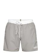 Starfish Badeshorts Grey BOSS