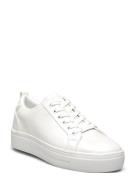 Meadow Lave Sneakers White ALDO