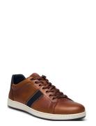 Trint Lave Sneakers Brown Dune London