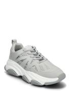 Peckman Sneaker Lave Sneakers Grey Steve Madden