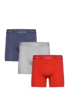 Boxer Brief 3Pk Boksershorts Blue Calvin Klein