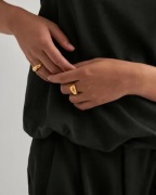 Pilgrim - Gull - Harrison Rings 2-in-1