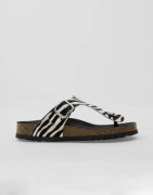 Scholl - Multi/Mønstrete - Anais Animal