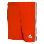 adidas Shorts Squadra 21 - Oransje/Hvit Barn