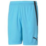 teamLIGA Shorts Blue Atoll-Puma Black