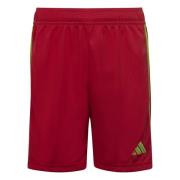 adidas Treningsshorts Tiro 23 League - Rød/Grønn Barn