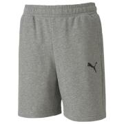 PUMA Shorts teamGOAL Casuals - Grå Barn