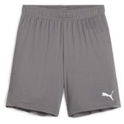 teamGOAL Shorts Jr Cast Iron-PUMA White