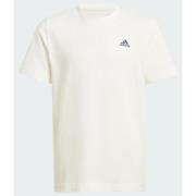 Adidas Graphic Tee Kids