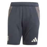 Real Madrid Treningsshorts Tiro 24 EU - Grå/Grå/Putty Mauve