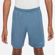 Nike Treningsshorts Dri-FIT Academy 23 - Blå/Blå Barn