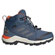 Adidas Terrex Disney Mid Gore-Tex Hiking Shoes