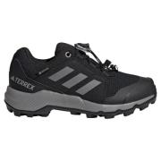 Adidas Terrex GORE-TEX Hiking Shoes