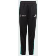 Adidas MERCEDES - AMG PETRONAS FORMULA ONE TEAM DNA PANT YOUTH