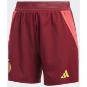 Adidas Germany 25 (Women's Team) Away Authentic Shorts