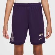 Nike Treningsshorts Dri-FIT Academy 25 Mbappé Personal Edition - Lilla...