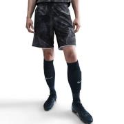 Nike Treningsshorts Dri-FIT Academy+ - Antrasitt/Svart/Hvit