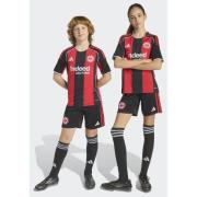 Adidas Eintracht Frankfurt 25/26 Home Shorts Kids
