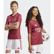 Arsenal Trenings T-Skjorte Pre Match - Burgund/Ren rubin Barn