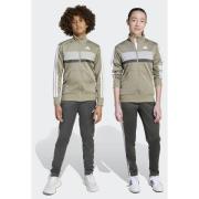 Adidas Seasonal Essentials Tiberio 3-Stripes Tricot Track Suit Kids